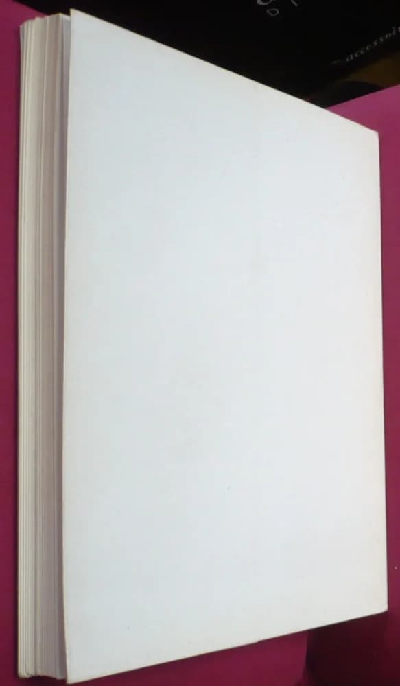 Histoire du Faubourg Saint-Antoine : Vieux Chemin de Paris, Faubourg Artisanal, Quartier des Grands Ébénistes du XVIII siècle - Image 7