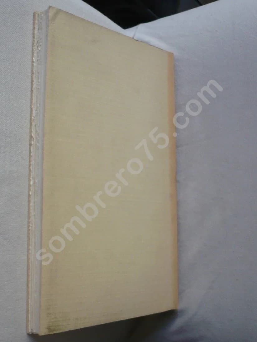 Histoire des Levées de la Loire - Image 3