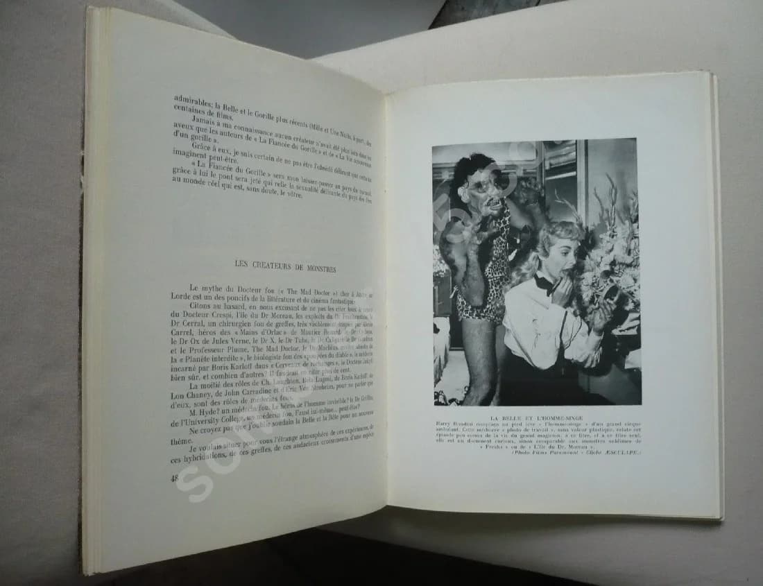 La Belle et la Bête - Image 3