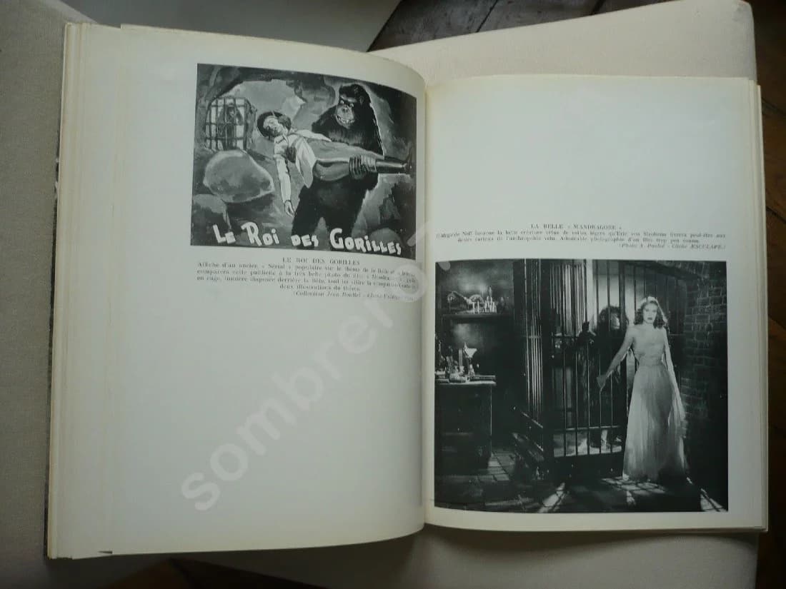 La Belle et la Bête - Image 4