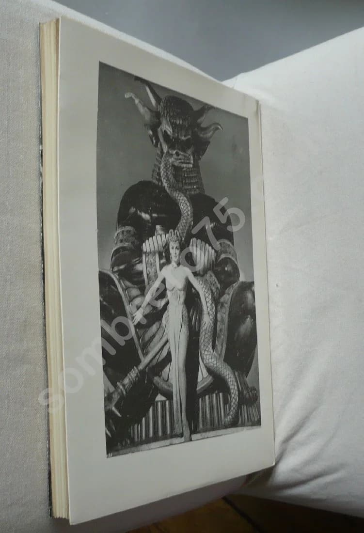 La Belle et la Bête - Image 5
