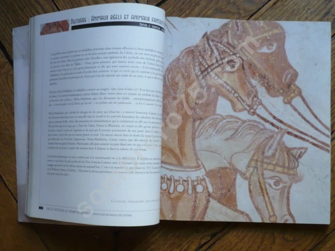 Peintures Murales de l'Indre : De la couleur au symbole révélé - Image 4