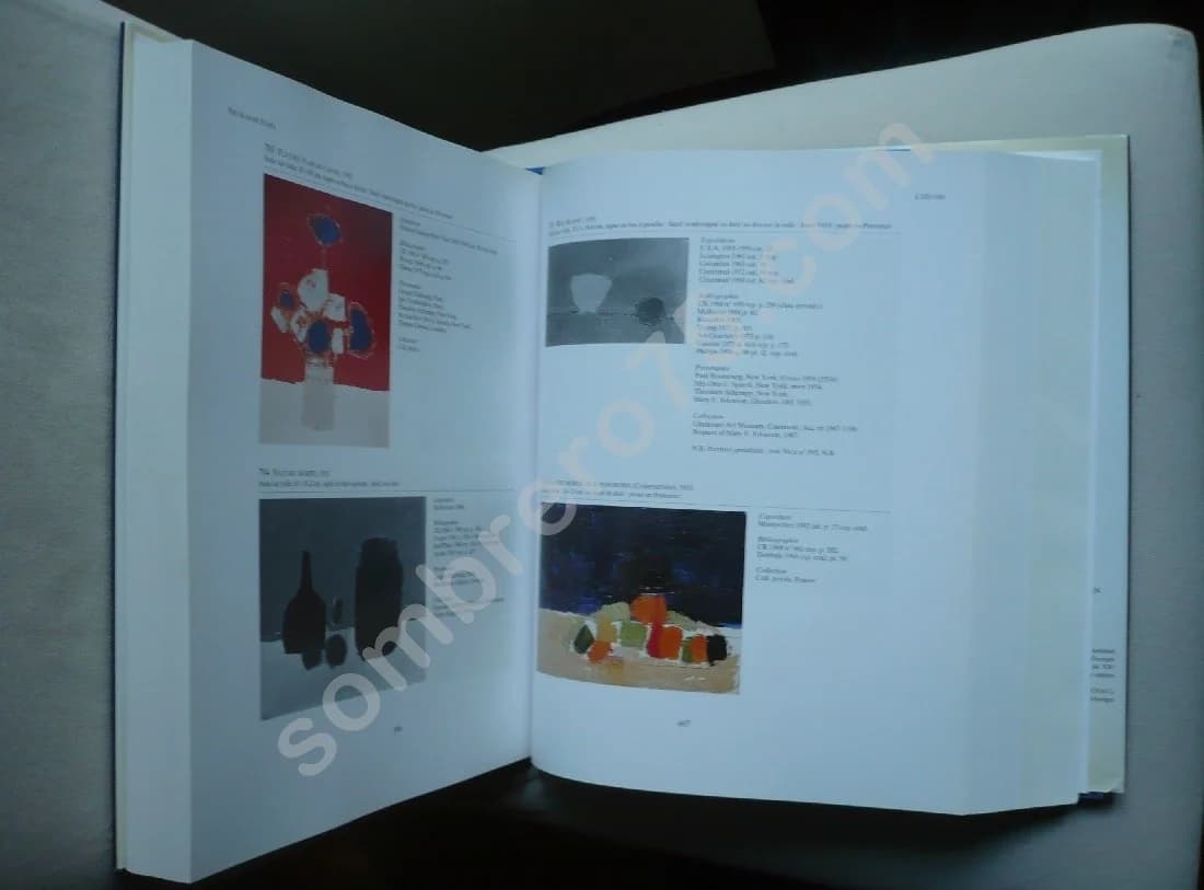 Catalogue Raisonné de l'Oeuvre Peint - Lettres de Nicolas de Staël - Image 4