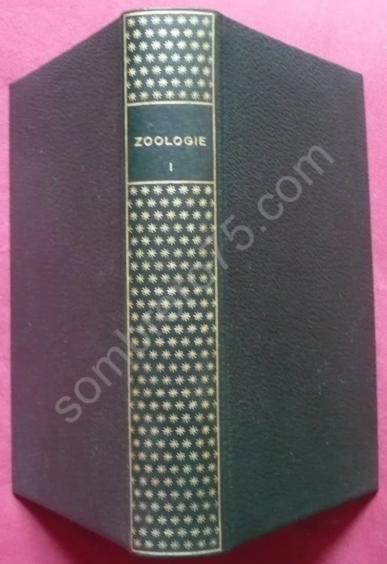 Zoologie - Généralités - Protozoaires et Métazoaires I - Tome 1