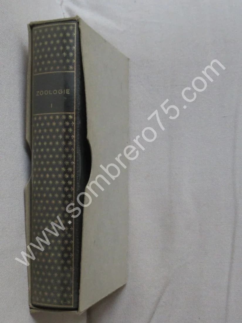 Zoologie - Généralités - Protozoaires et Métazoaires I - Tome 1 - Image 5