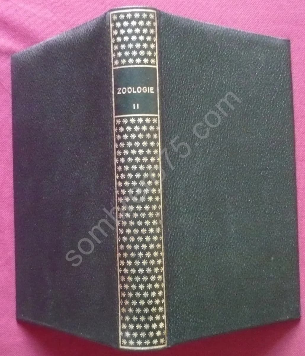 Zoologie - Les Arthropodes : Métazoaires - tome 2