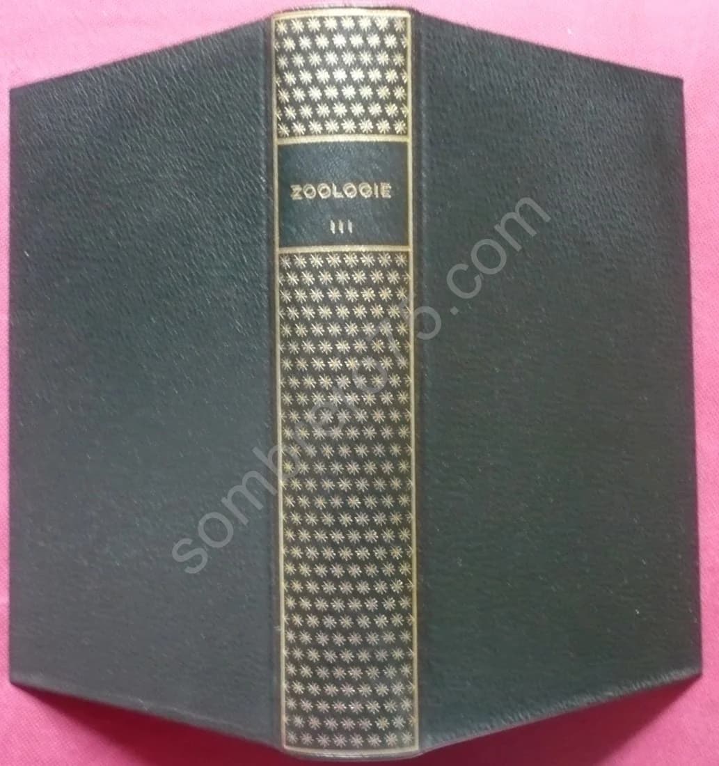 Zoologie - Métazoaires - Tome 3