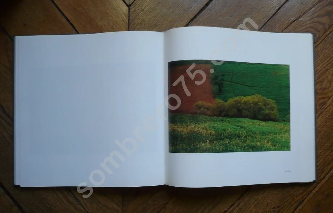 Photo Collection - Image 3