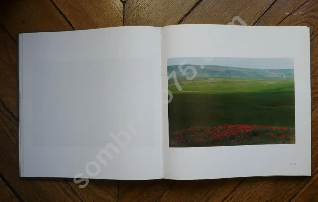 Photo Collection - Image 4