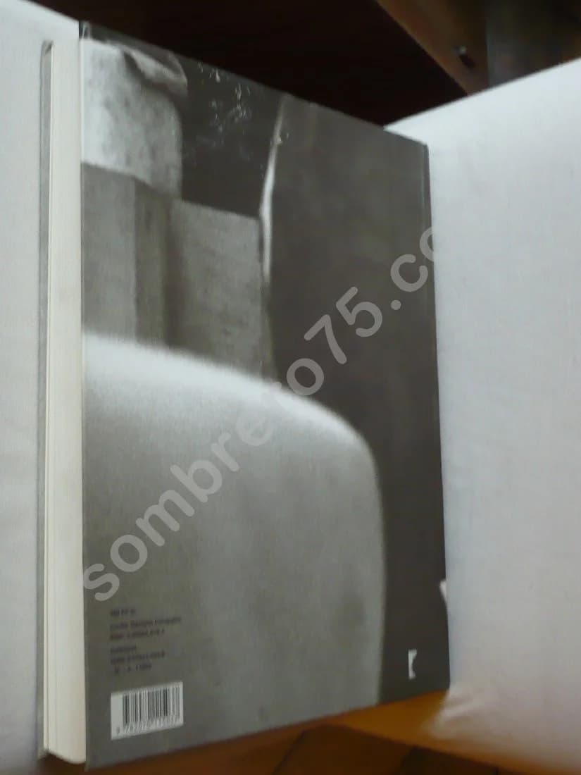 Constantin Brancusi 1876 - 1957. Centre Pompidou - Image 3