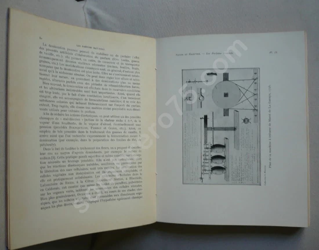 Les Parfums Naturels - Essences concrètes - Résinoïdes - Huiles et Pommades. G. MAZUYER - 1939 - Image 3