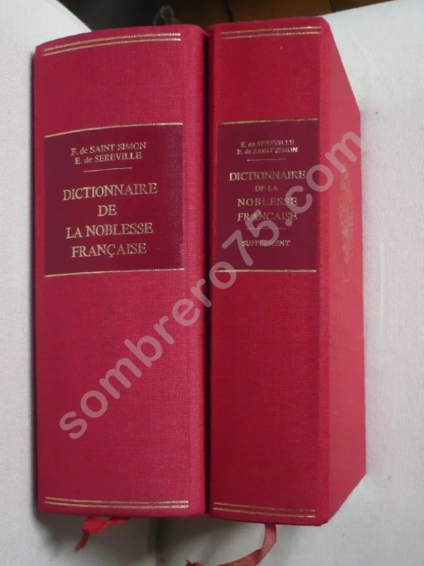 Dictionnaire de la Noblesse Française + supplément - 2 volumes - Image 2