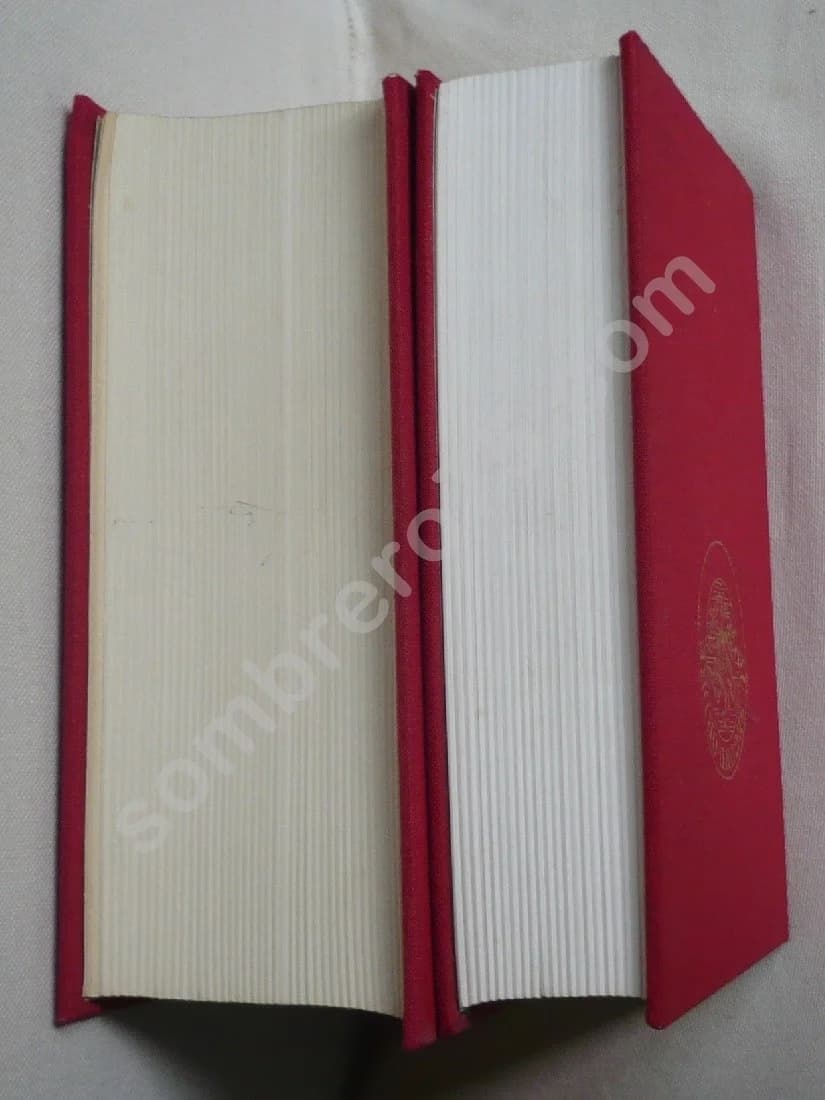 Dictionnaire de la Noblesse Française + supplément - 2 volumes - Image 3