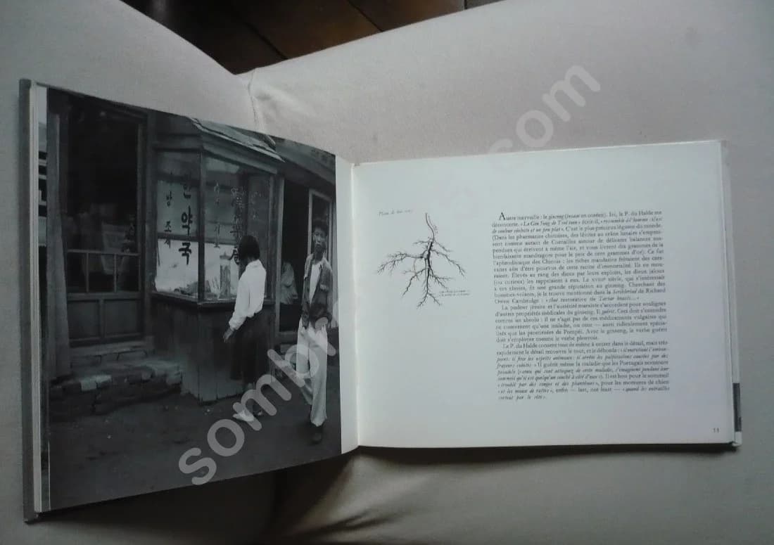 Coréennes - Image 3