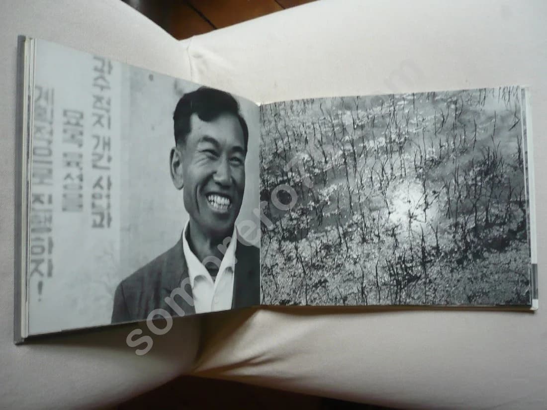 Coréennes - Image 4