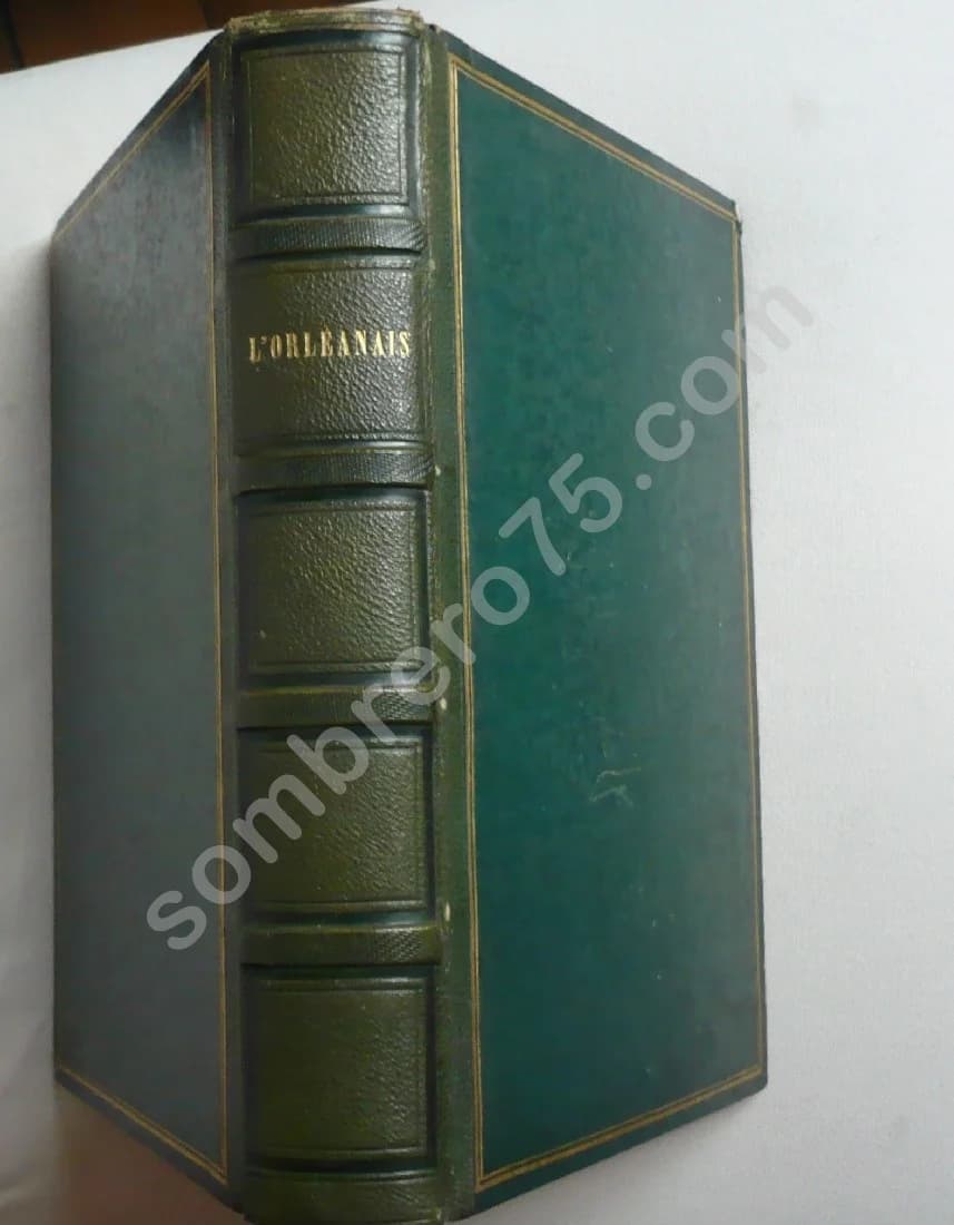 L'orléanais - histoire des Ducs et du Duché d'Orléans