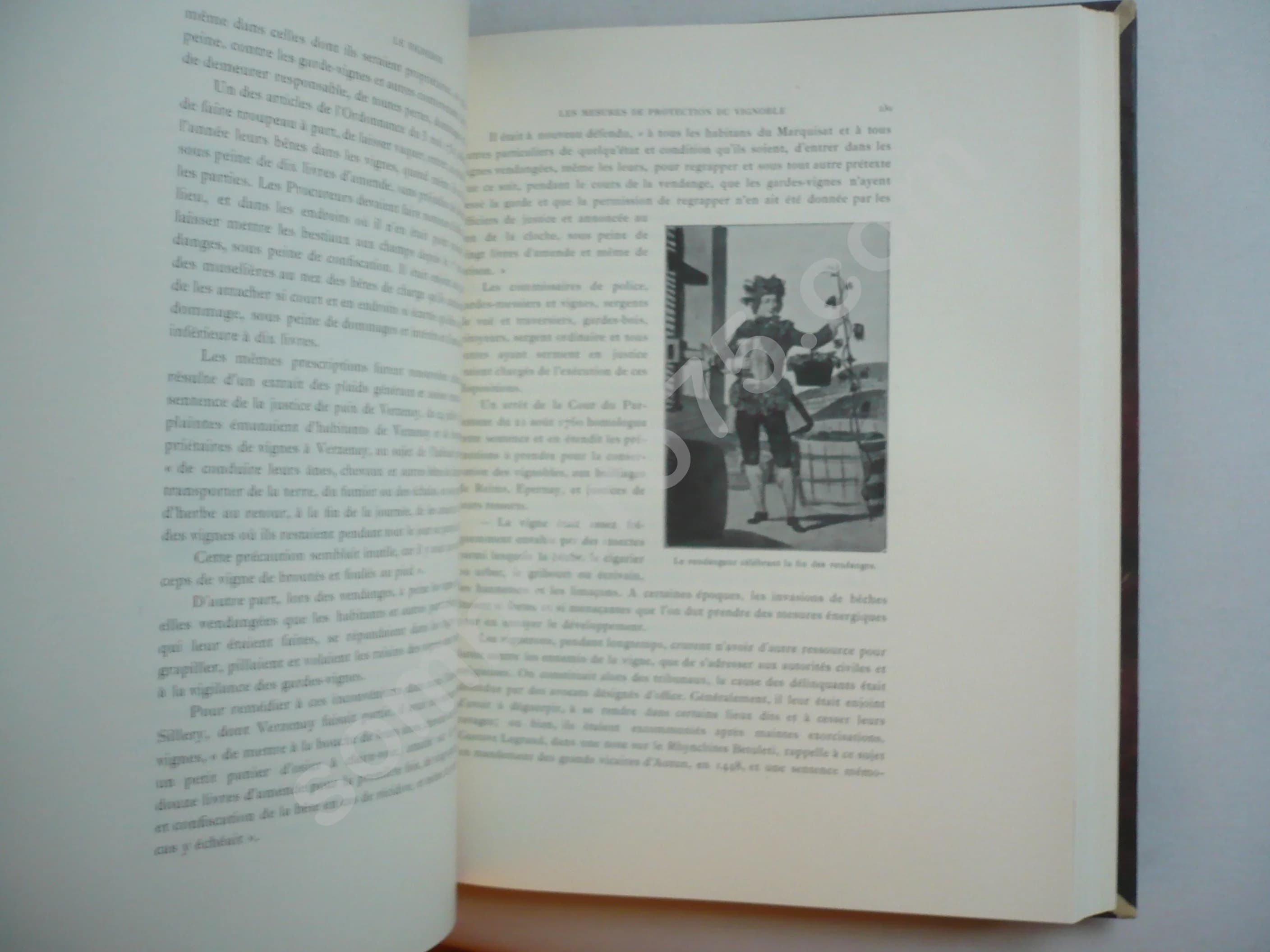 Au Pays du Champagne - Le Vignoble - Le Vin. C. MOREAU BERILLON - Image 5