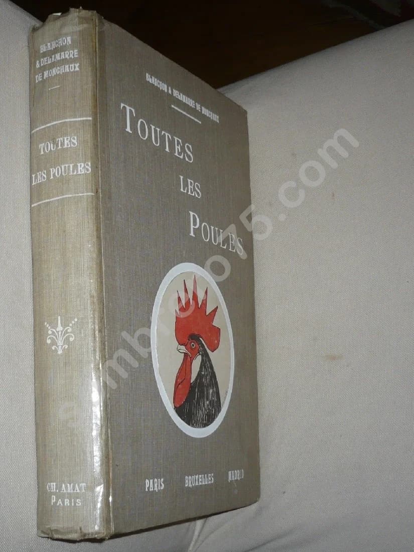 Toutes les Poules et leurs Variétés - Blanchon & Delamarre de Monchaux - Image 2