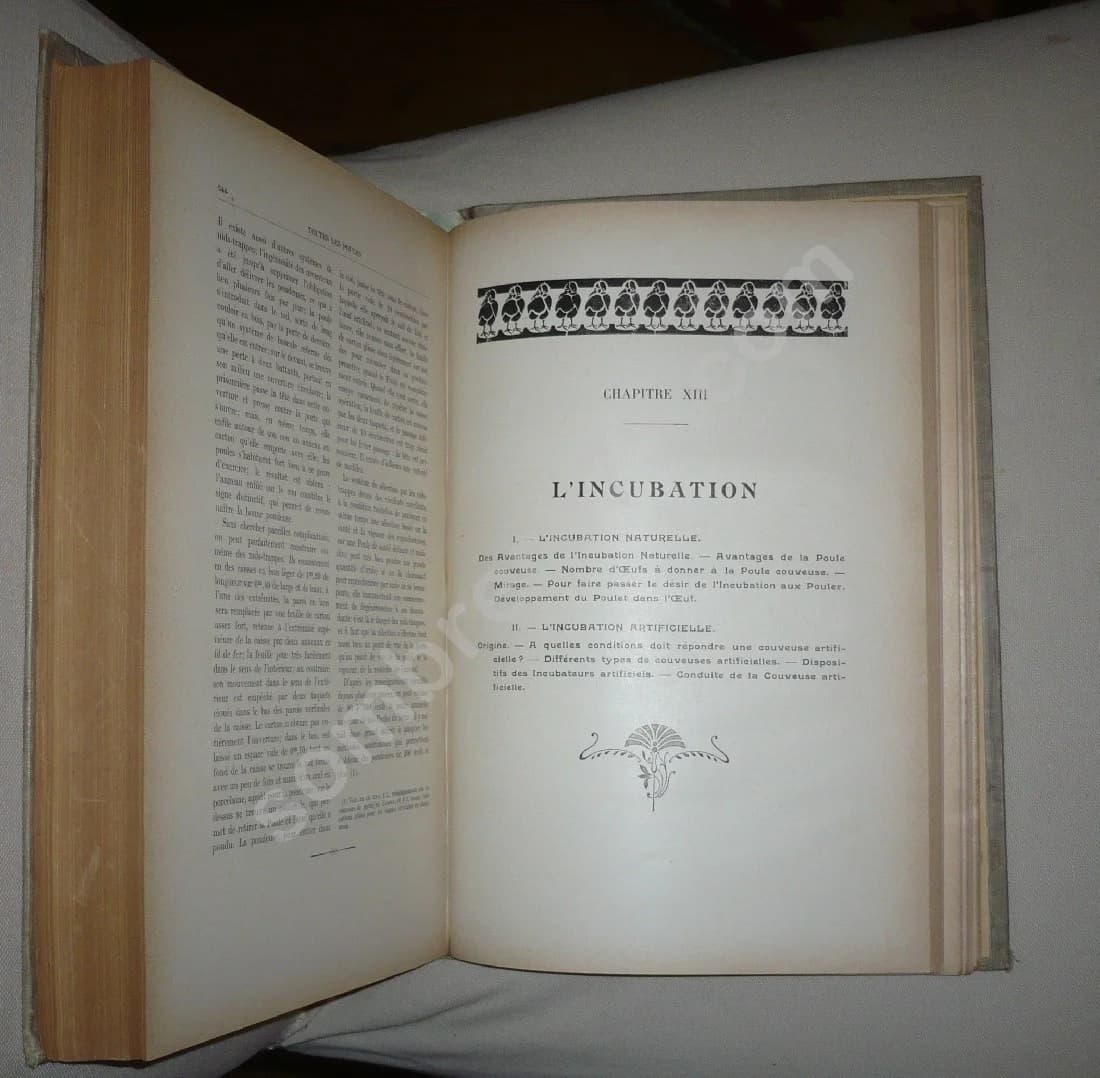 Toutes les Poules et leurs Variétés - Blanchon & Delamarre de Monchaux - Image 5