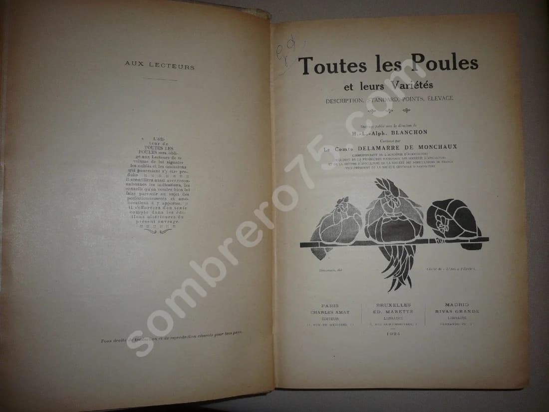 Toutes les Poules et leurs Variétés - Blanchon & Delamarre de Monchaux - Image 6