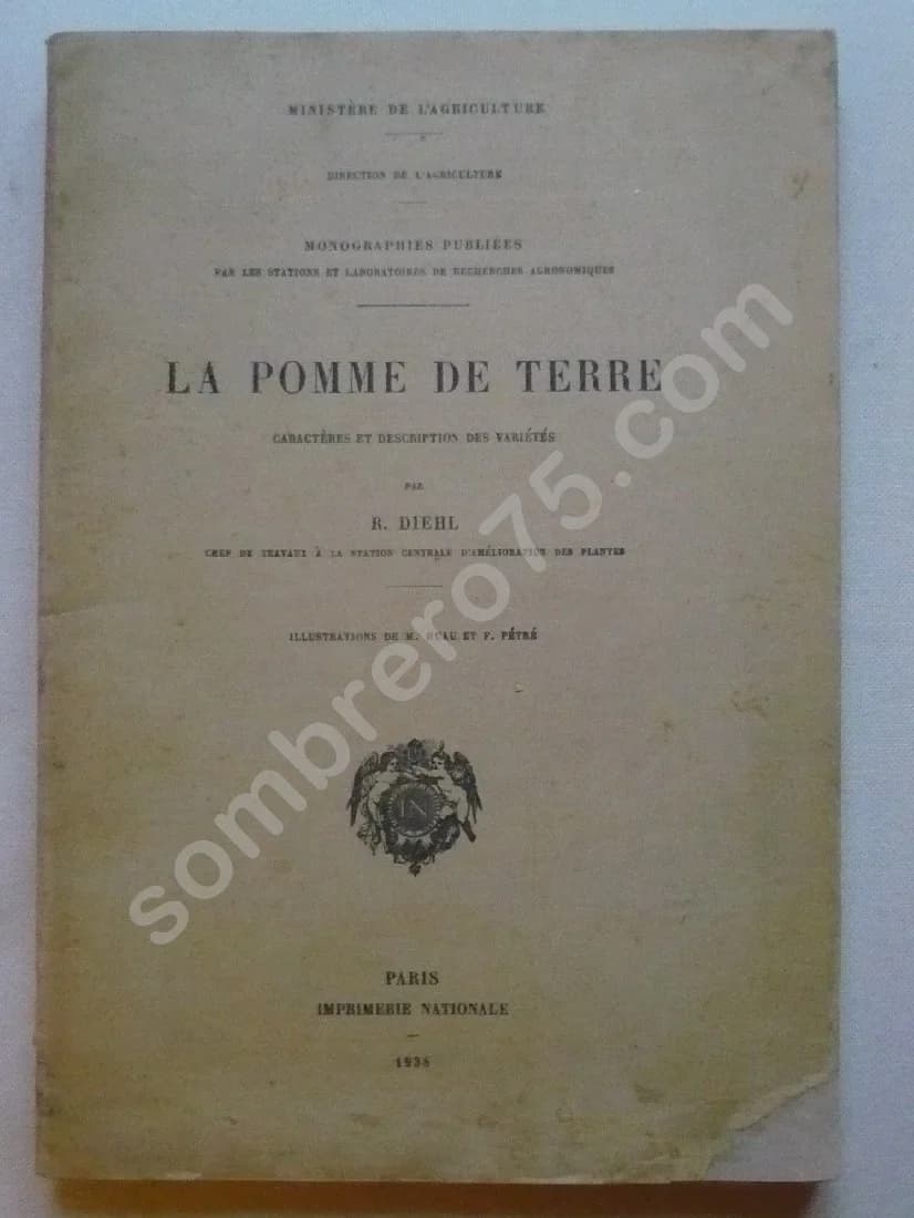 La Pomme de Terre - Caractères et Description des Variétés