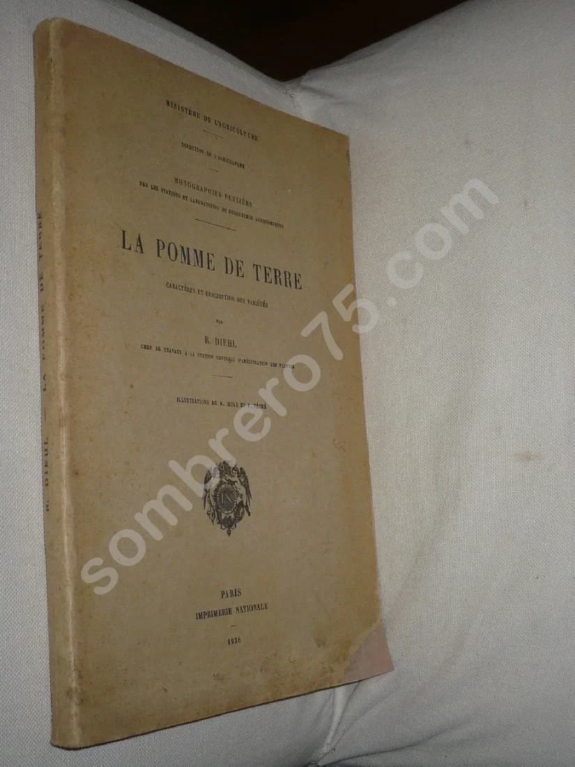 La Pomme de Terre - Caractères et Description des Variétés - Image 2