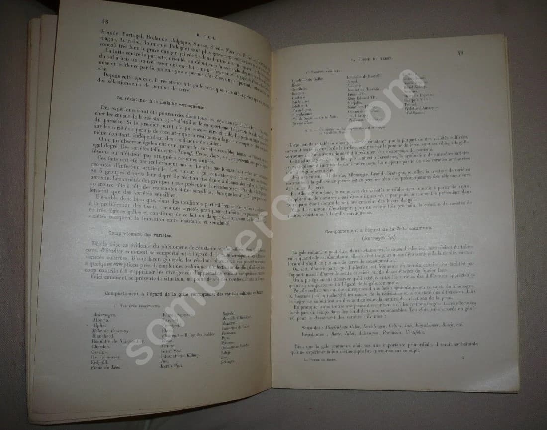 La Pomme de Terre - Caractères et Description des Variétés - Image 6