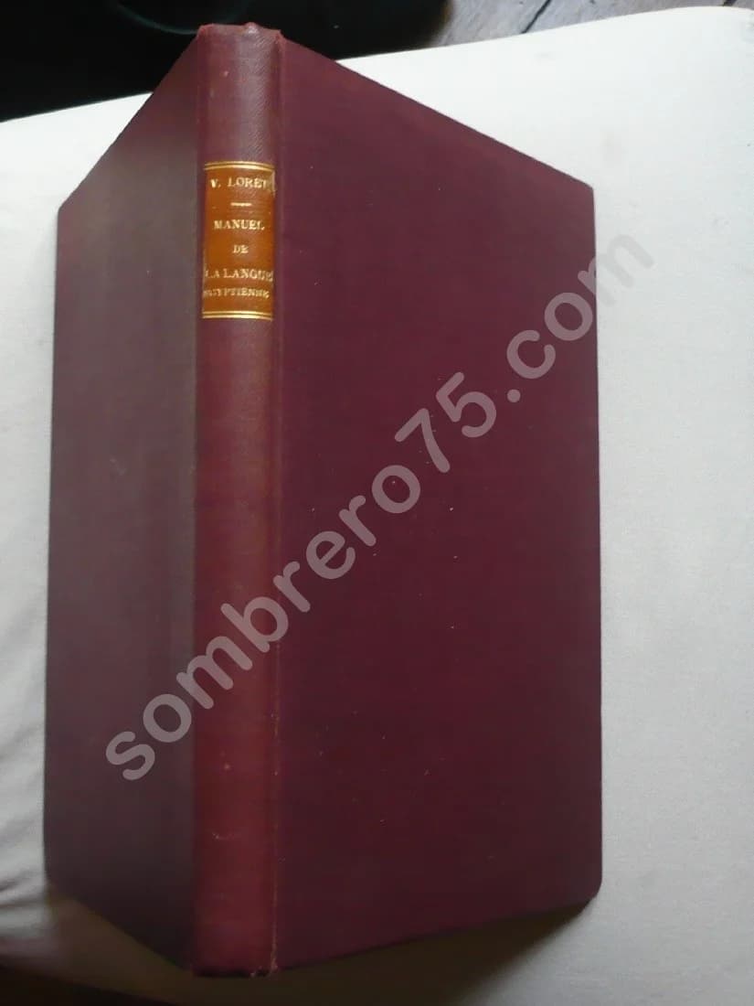 Manuel de la Langue Egyptienne - 1889