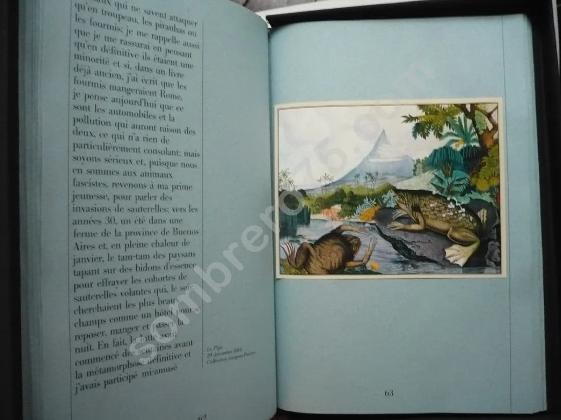 Zötl - Le Bestiaire d'Aloys Zötl (1831 1887) Cortazar - Image 3