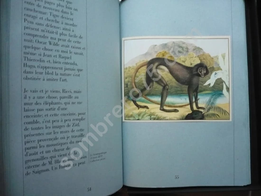 Zötl - Le Bestiaire d'Aloys Zötl (1831 1887) Cortazar - Image 4