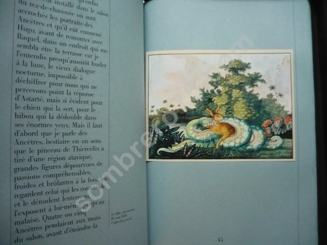 Zötl - Le Bestiaire d'Aloys Zötl (1831 1887) Cortazar - Image 5