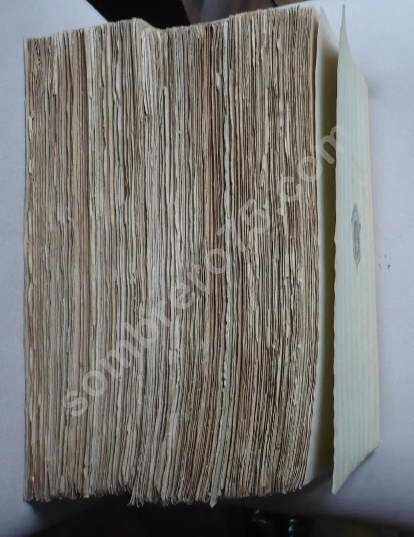 Pline Le Jeune et ses Héritiers.. 4 volumes - Image 5