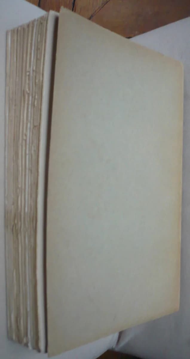 Epilepsies : Leurs Formes Cliniques, leurs Traitements - Image 2