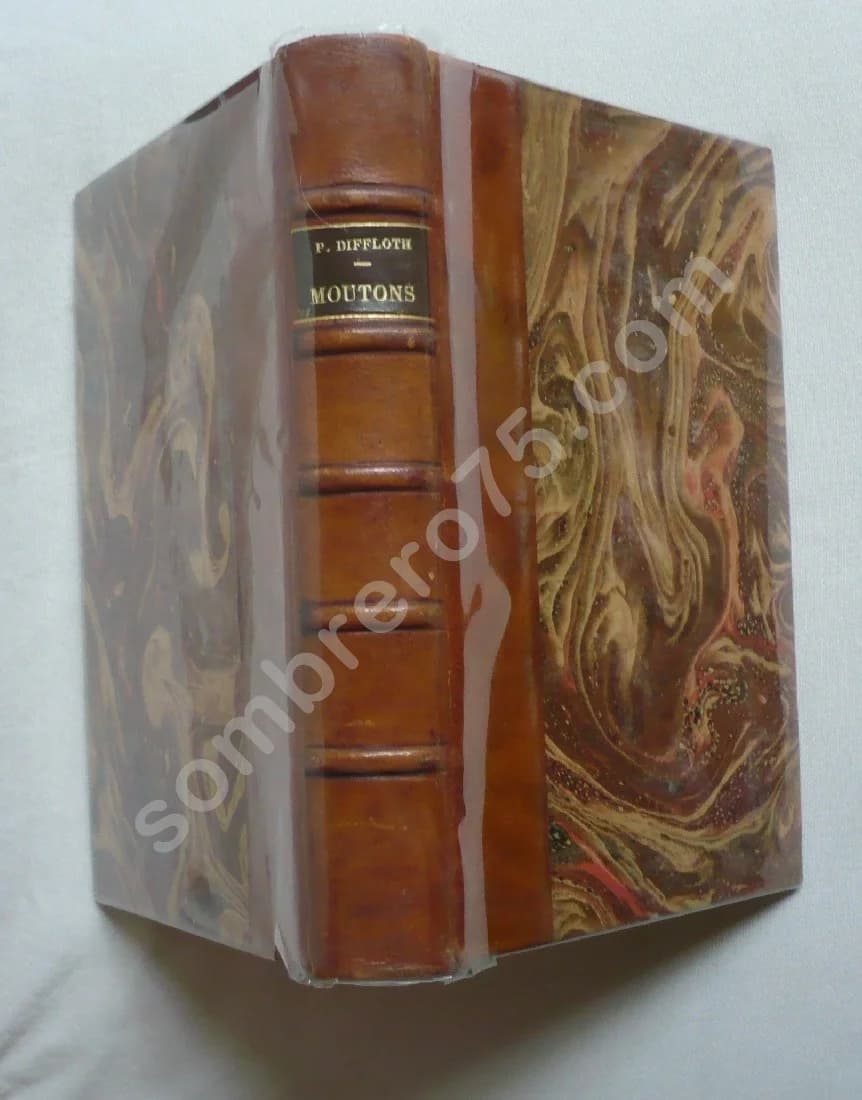 Zootechnie - Moutons . P DIFFLOTH