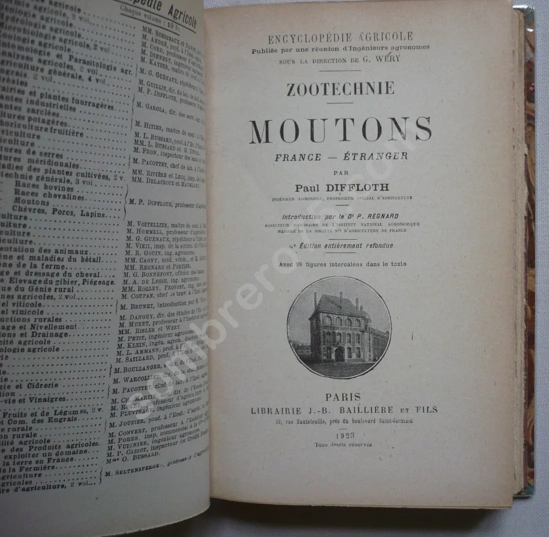 Zootechnie - Moutons . P DIFFLOTH - Image 2