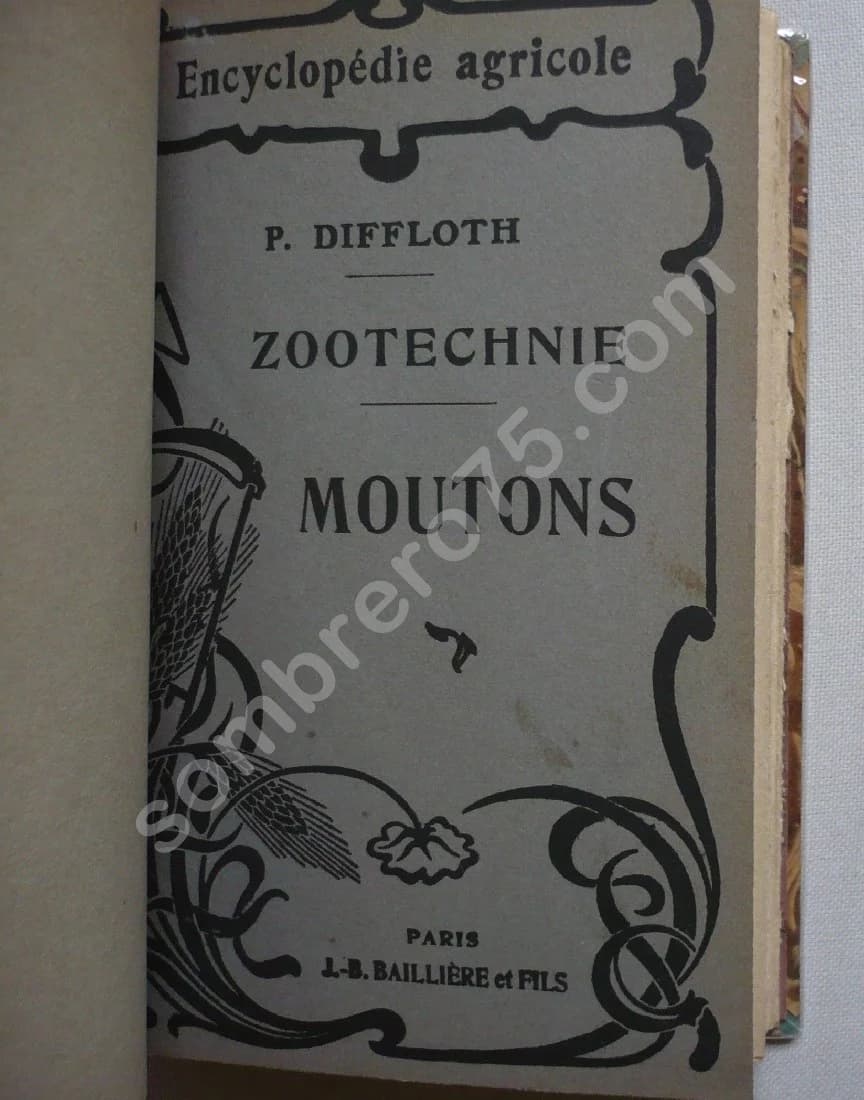 Zootechnie - Moutons . P DIFFLOTH - Image 3