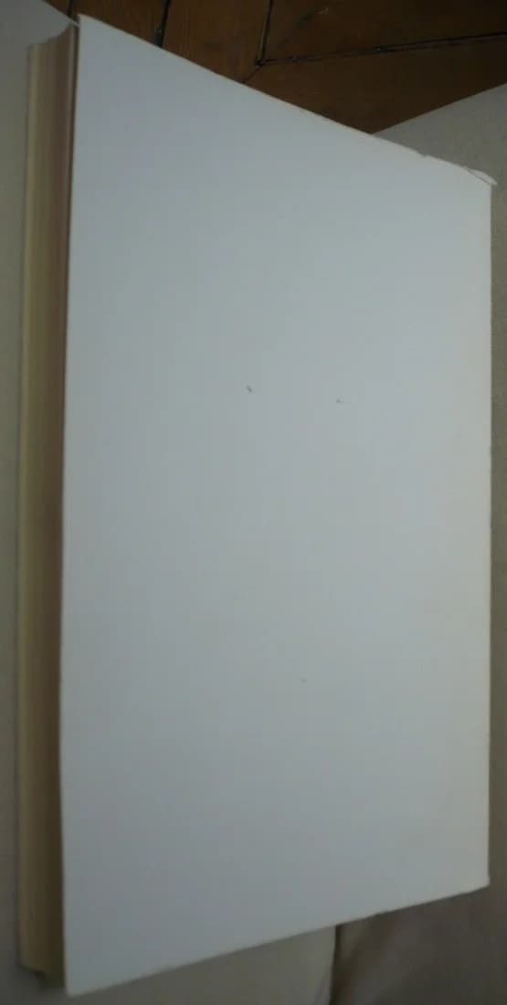 Les Manifestations Epileptiques - Image 4