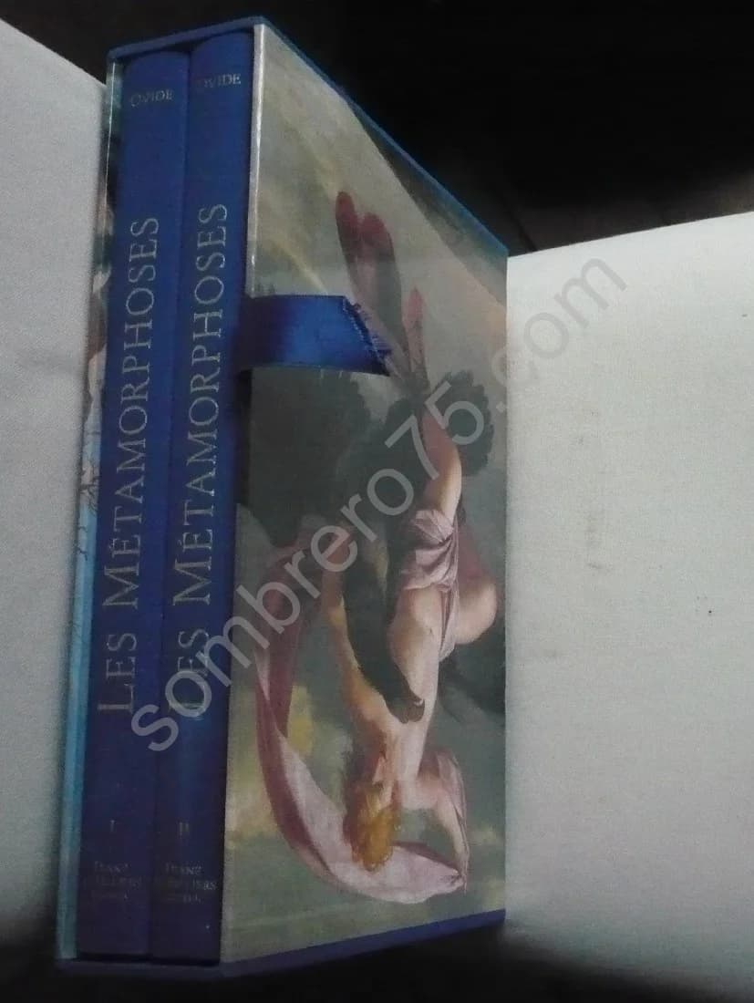 - Les Métamorphoses illustrées par la peinture baroque. 2 Volumes
