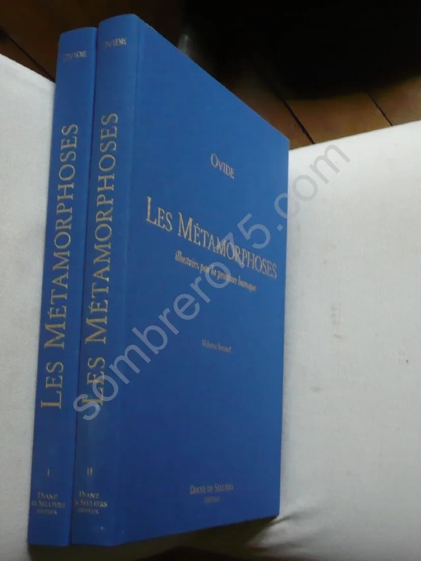- Les Métamorphoses illustrées par la peinture baroque. 2 Volumes - Image 2