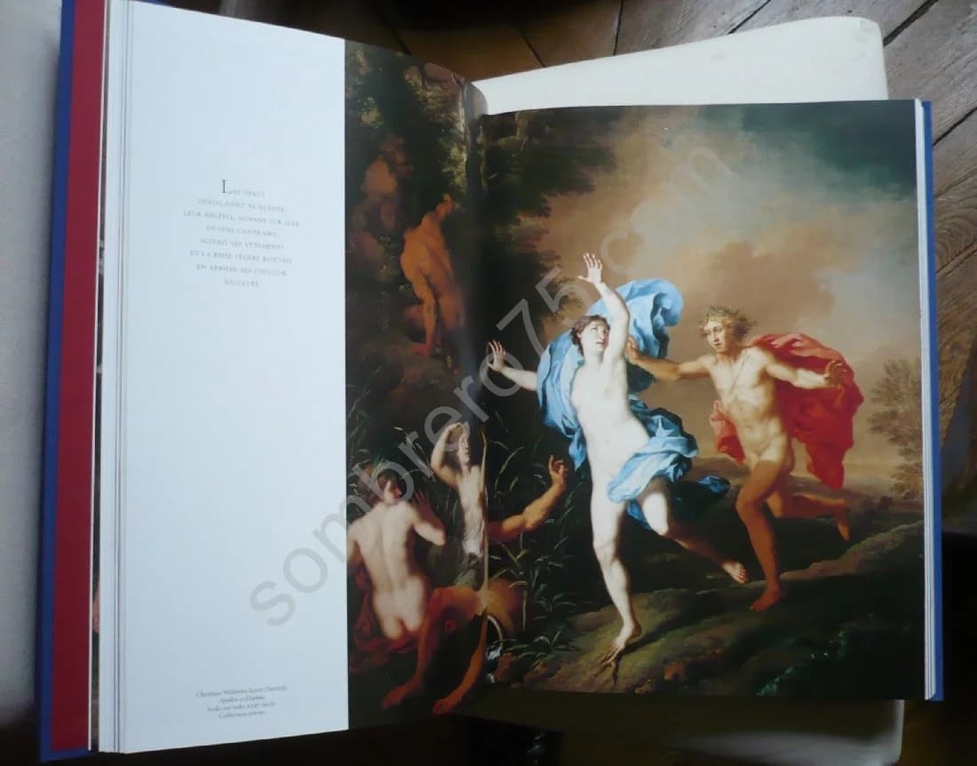 - Les Métamorphoses illustrées par la peinture baroque. 2 Volumes - Image 3