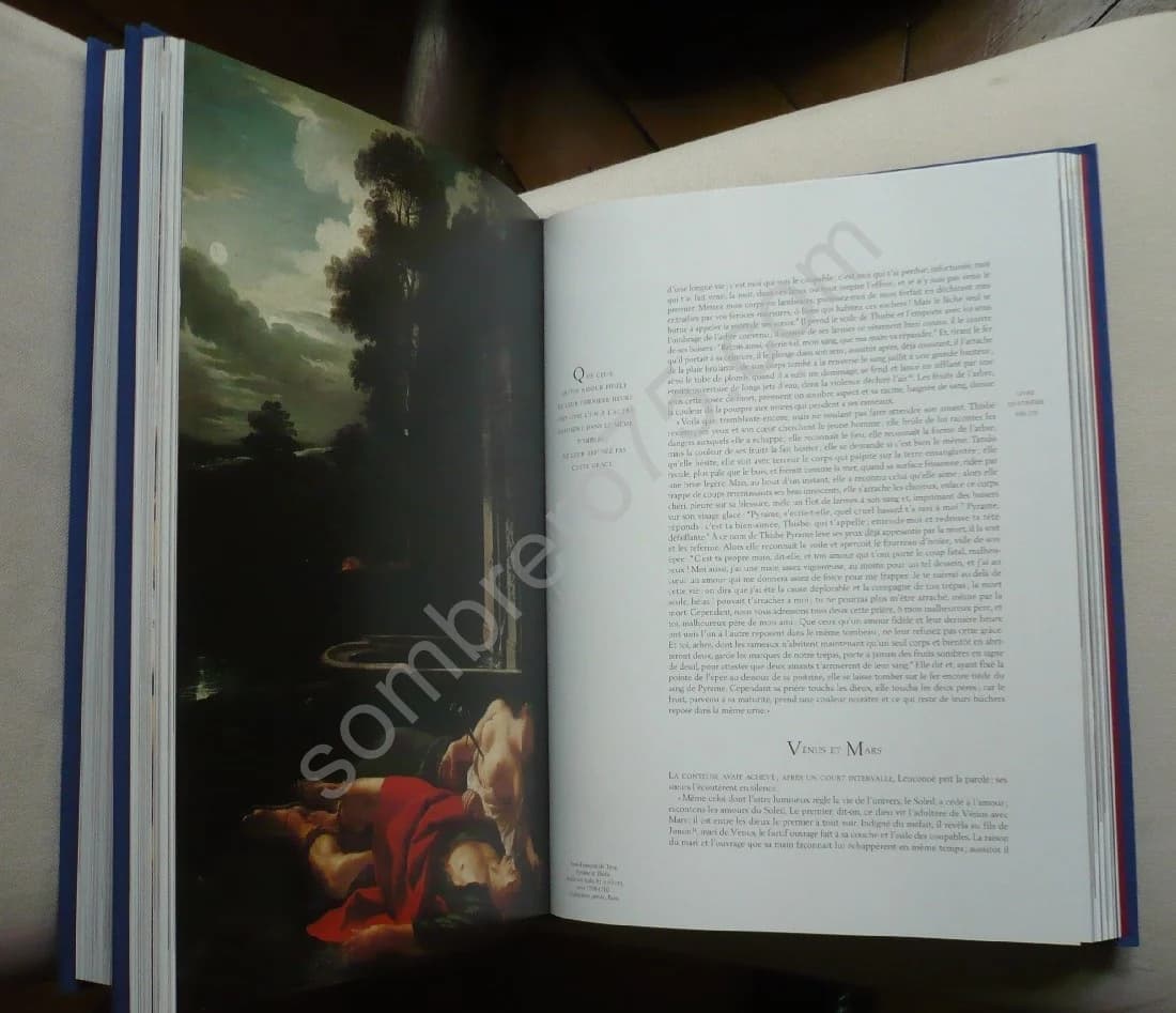 - Les Métamorphoses illustrées par la peinture baroque. 2 Volumes - Image 4