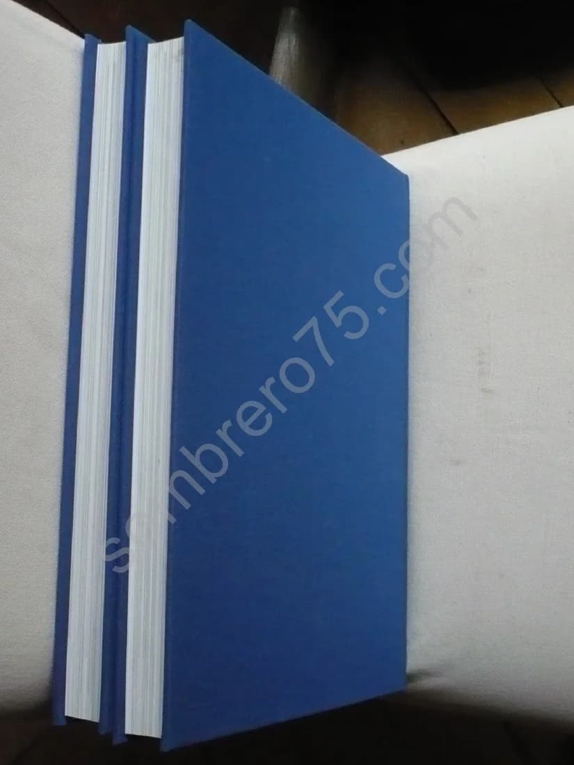 - Les Métamorphoses illustrées par la peinture baroque. 2 Volumes - Image 6