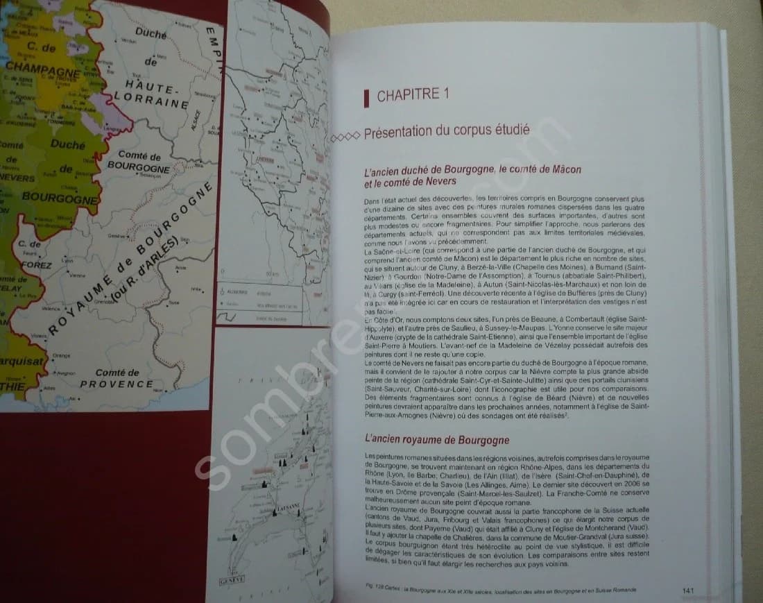 Peintures Romanes - Bourgogne - Rhône Alpes Suisse Romande - Image 4