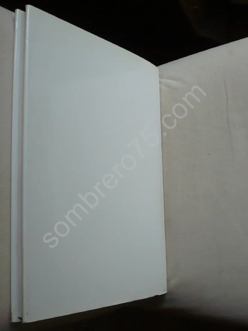 Etudes sur les Vitraux de Suger à Saint-Denis - 12ème siècle. Volume 2 - Image 5