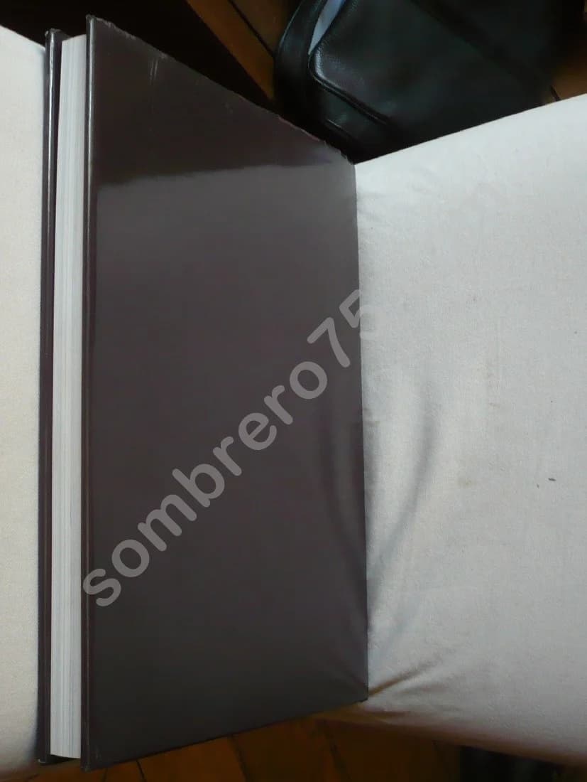 La Peinture Vietnamienne - Une aventure entre tradition et modernité. Corinne de Ménonville - Image 9