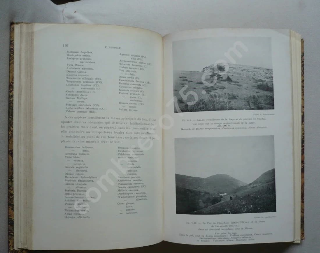 Revue de Géographie Alpine XVII - 1929 - Image 3