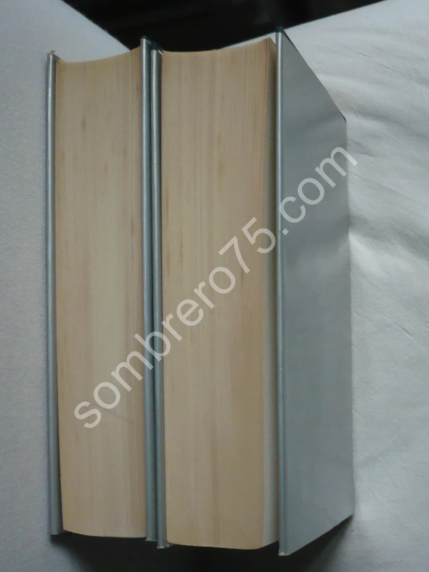 Grandville - L'Oeuvre graphique complète - 2 Tomes - Image 3