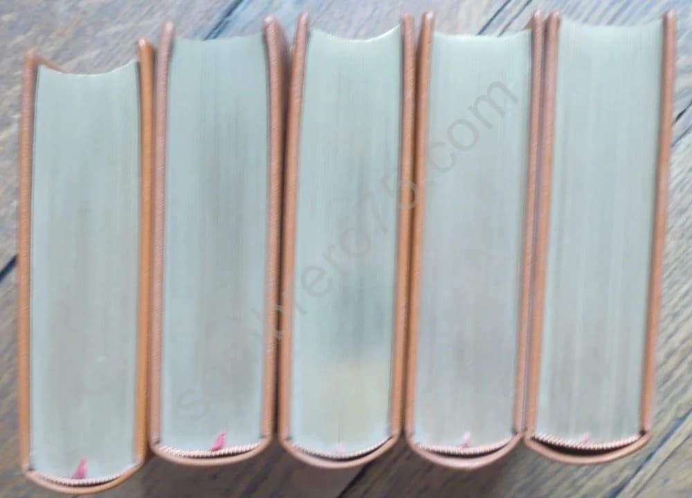 Mémoires : De la Comtesse du Barri sur les évènements qui se sont passés pendant les règnes de Louis XV et de Louis XVI - Image 3