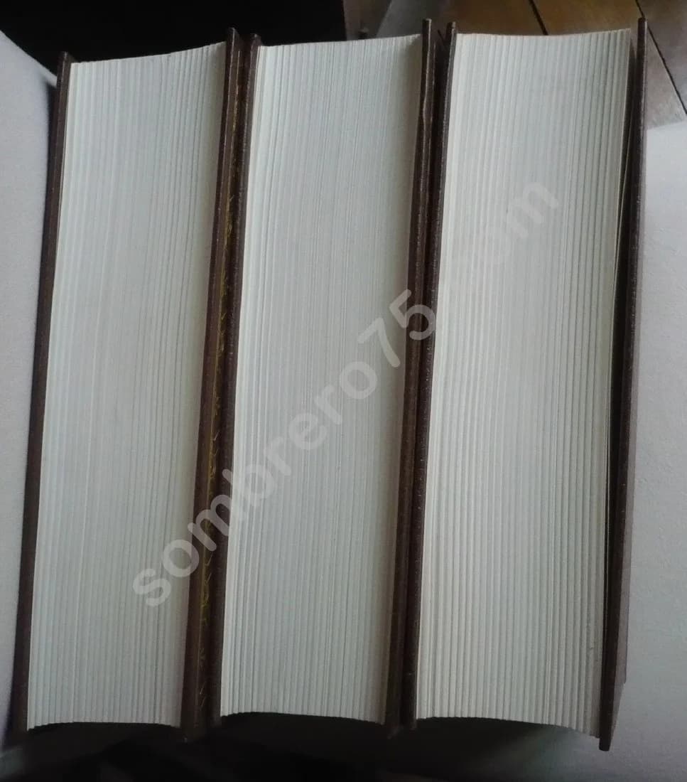 Le Dictionnaire Universel d'Antoine Furetière - 3 volumes - Image 3