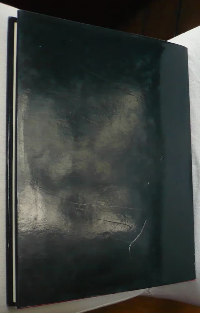 The Jazz Guitar. Its Evolution and its Players - Image 2